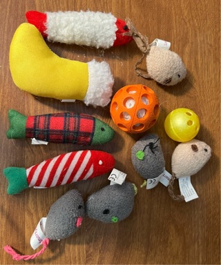 Cat Toys