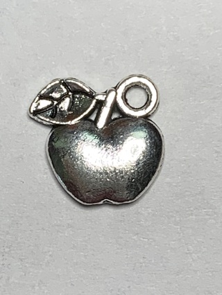 SILVER CHARM~#65~MISCELLANEOUS~1 CHARM ONLY~FREE SHIPPING!