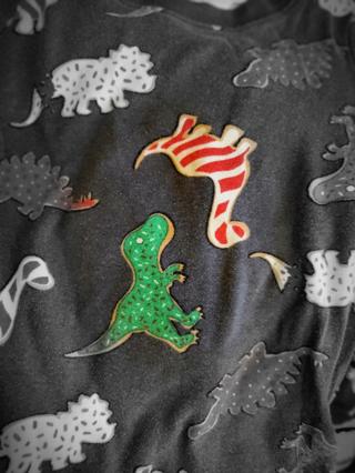 Dinosaur Cookie pajama pants and shirt