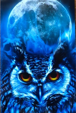 Lunar Owl - 3 x 5” MAGNET - GIN ONLY