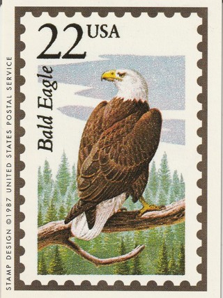 Vintage Wildlife America Collector/Trade Card: Bald Eagle