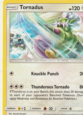 Pokemon Card: Tornadus