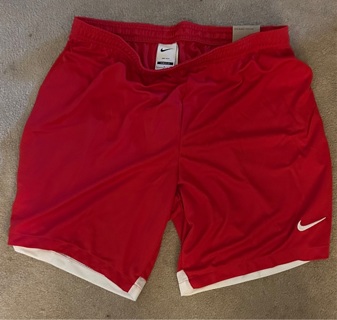 Nike shorts/ men’s large