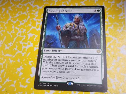 Magic the gathering mtg Blessing of frost rare card Kaldheim