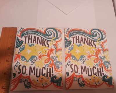 2 Thank You Notecards (with Envelopes)