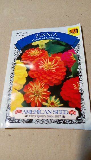 ZINNIA GIANTS OF CALIFORNIA