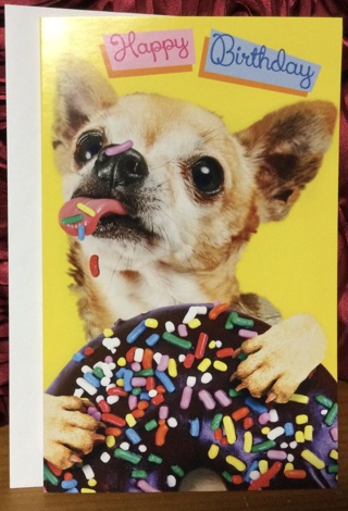 Happy Birthday Chihuahua Licking Donut
