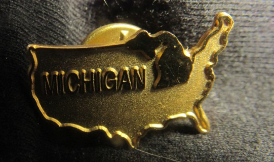 MICHIGAN PIN