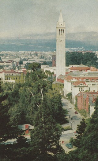 Vintage Unused Postcard: GIN: Campanile, University of California