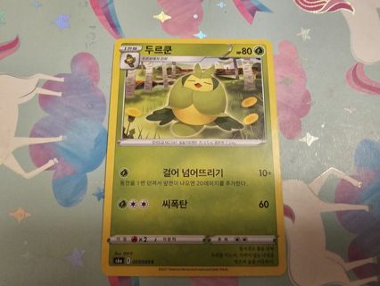 Korean pokemon card