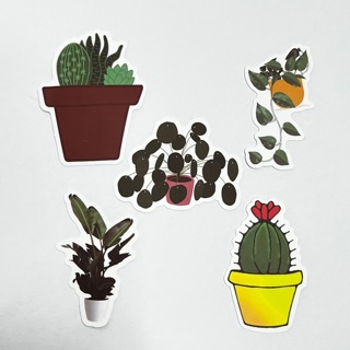 5 Plant Stickers - Cactus, Pothos, Philodendron 