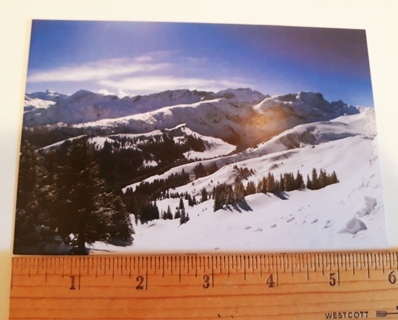 Snow Scene Postcard