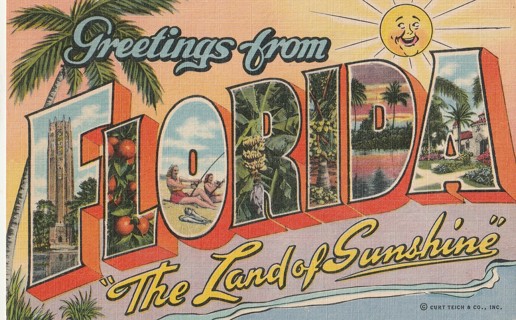 Vintage Unused Postcard: g: Greetings from Florida