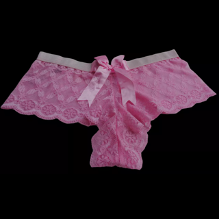 Sexy Pink Lace See Thru Lace Cheeky Panty Panties Sz 8 XL Lingerie