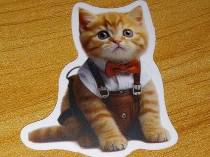 Cat Cute one vinyl sticker no refunds regular mail only Very nice quality!