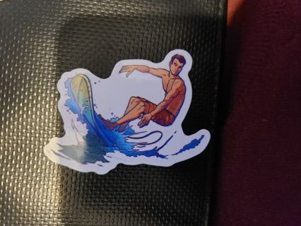 Surfer Sticker