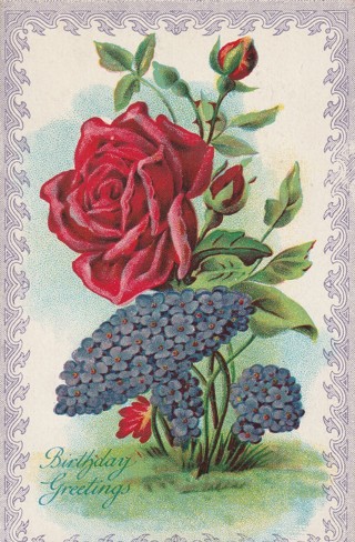 Vintage Unused Postcard: f: Birthday Greetings