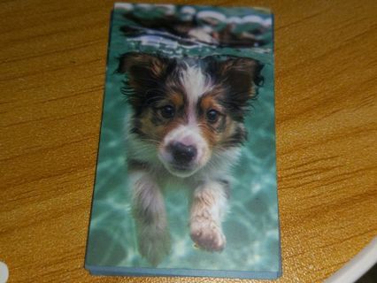 Dog Cute one new vinyl sticker no refunds regular mail very nice