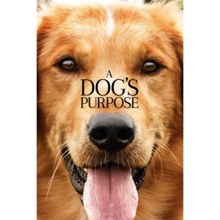 A Dog’s Purpose - iTunes (cannot verify)