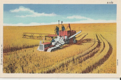 Vintage Unused Postcard: c: Working the Fields