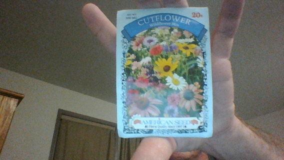 cutflower wildflower mix - bachelor button cyanus double mix - seeds