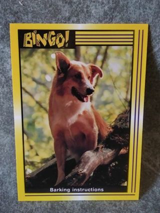 Bingo Trading Card # 34