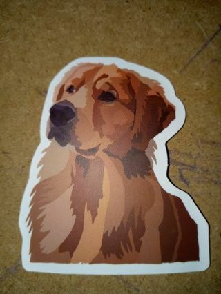 Dog Cool new one vinyl lap top sticker no refunds regular mail very nice quality