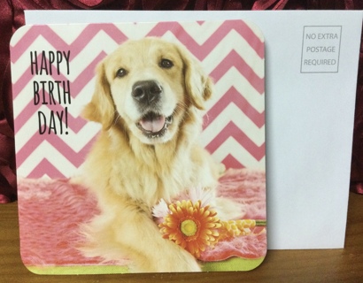 Dog Next to Flower Birthday Card