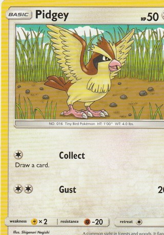 Pokemon Card: Pidgey