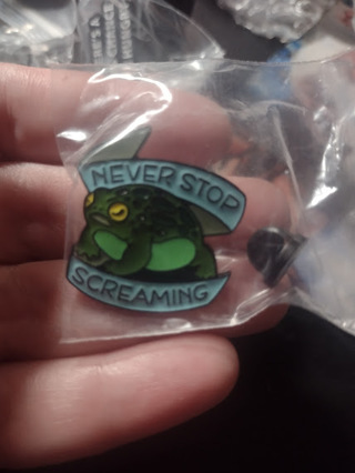 Pin - Never Stop Screaming