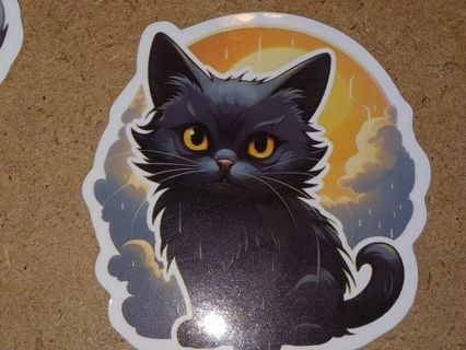 Cat Cool one nice big vinyl sticker no refunds I send all regular mail nice quality