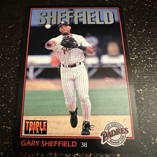 Gary Sheffield 