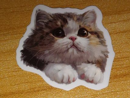 Kawaii one thin Cute new vinyl laptop sticker no refunds regular mail win 2 or more get bonus