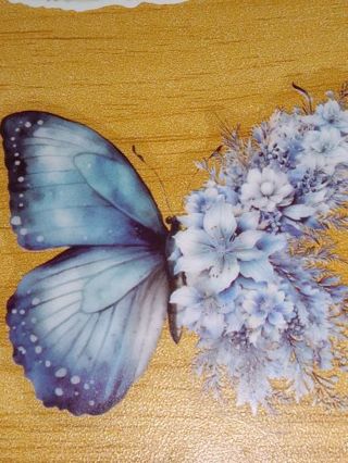 Beautiful new 1⃣ very big clear lap top sticker no refunds regular mail very nice quality