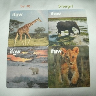 IFAW Cardboard Drink Coasters