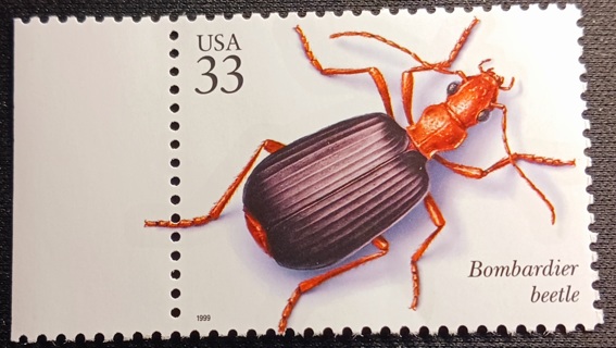 33c BOMBARDIER BEETLE MNH