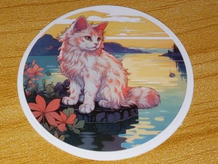 Cat Cute new 1⃣ vinyl sticker no refunds regular mail only Very nice these are all nice