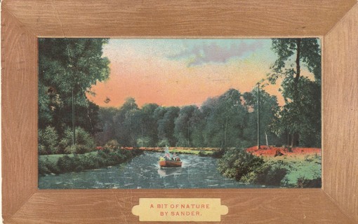 Vintage Used Postcard: gin z: 1923 A Bit of Nature