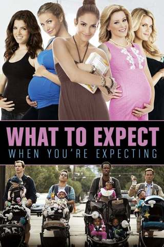 What to Expect When You're Expecting (SD) (Vudu Redeem only)