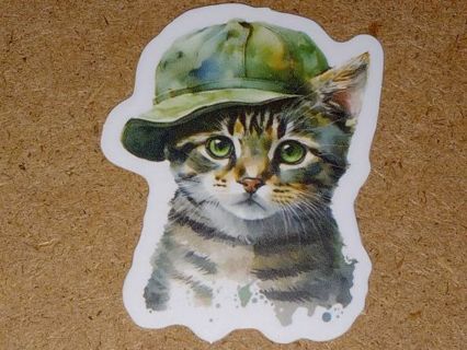 Cat Cute nice one vinyl sticker no refunds regular mail only Very nice quality!