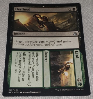 MTG ✨ Destined / Lead - (U) 217/269 Amonkhet (AKH) ✨ Magic the Gathering (2017)