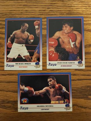 1991 KAYO Boxing trading cards #46,#47,#48
