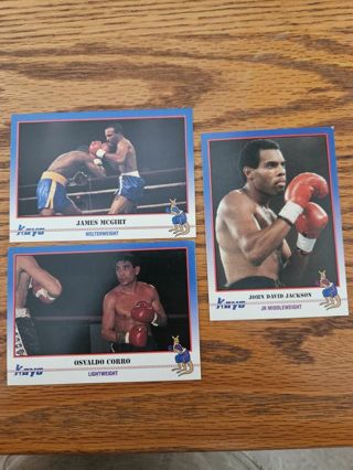 1991 KAYO Boxing trading cards.#220,#221,#222.