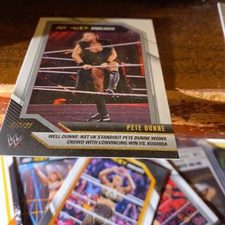 2021 panini nxt highlights Peter dunne wrestling card 