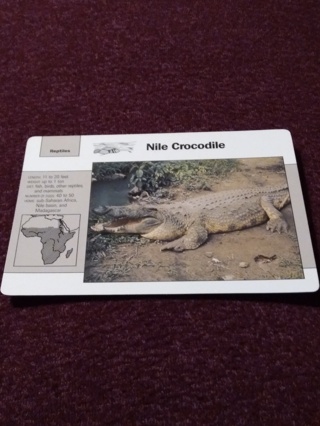 Grolier Story of America Card - Nile Crocodile