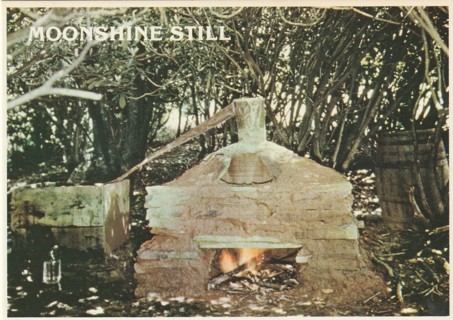 Vintage Unused Postcard: (c1): Moonshine Still in Kentucky