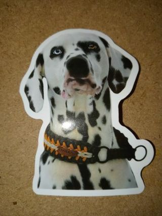 Dog Cute new vinyl sticker no refunds regular mail only Very nice these are all nice