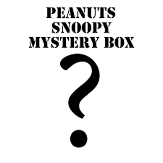 Snoopy Mystery Box