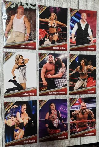 9 WWF 2010 Wrestling Cards