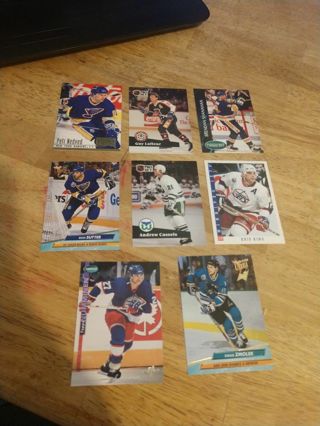 Hockey Card Lot #1